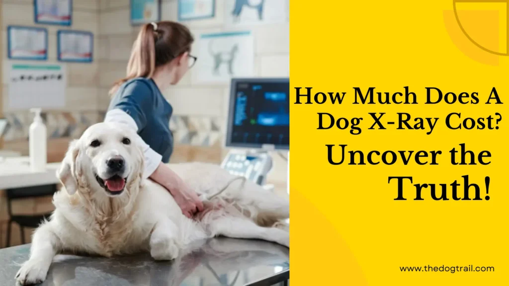 cost of dog xray