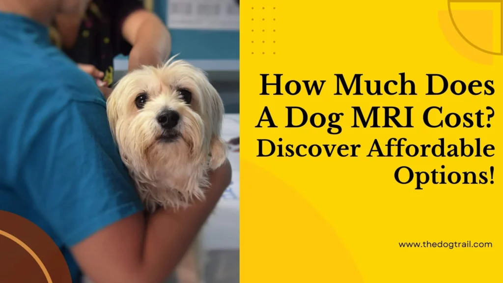 How Much Does a Dog MRI Cost