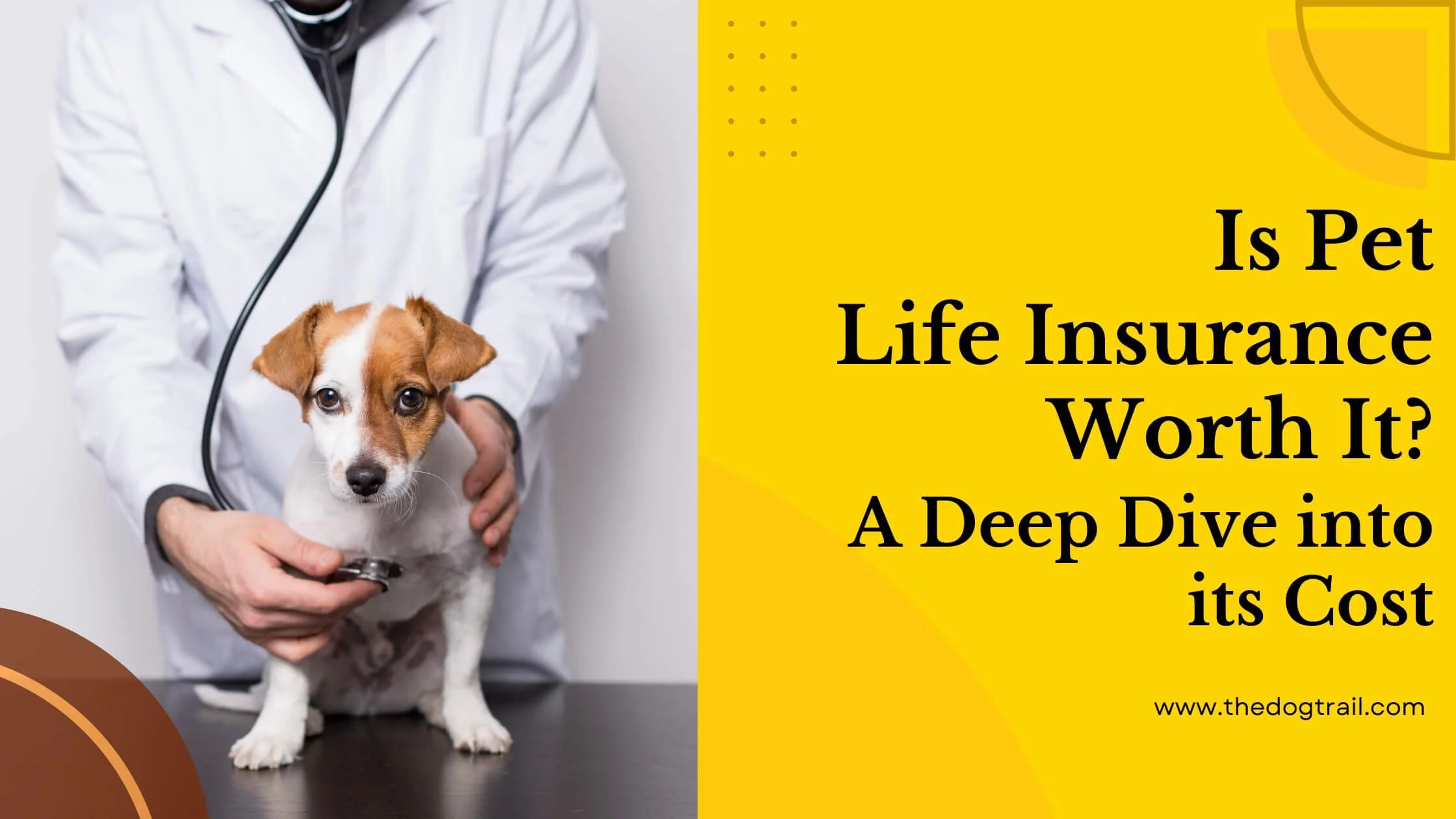 Pet Life Insurance For Dogs