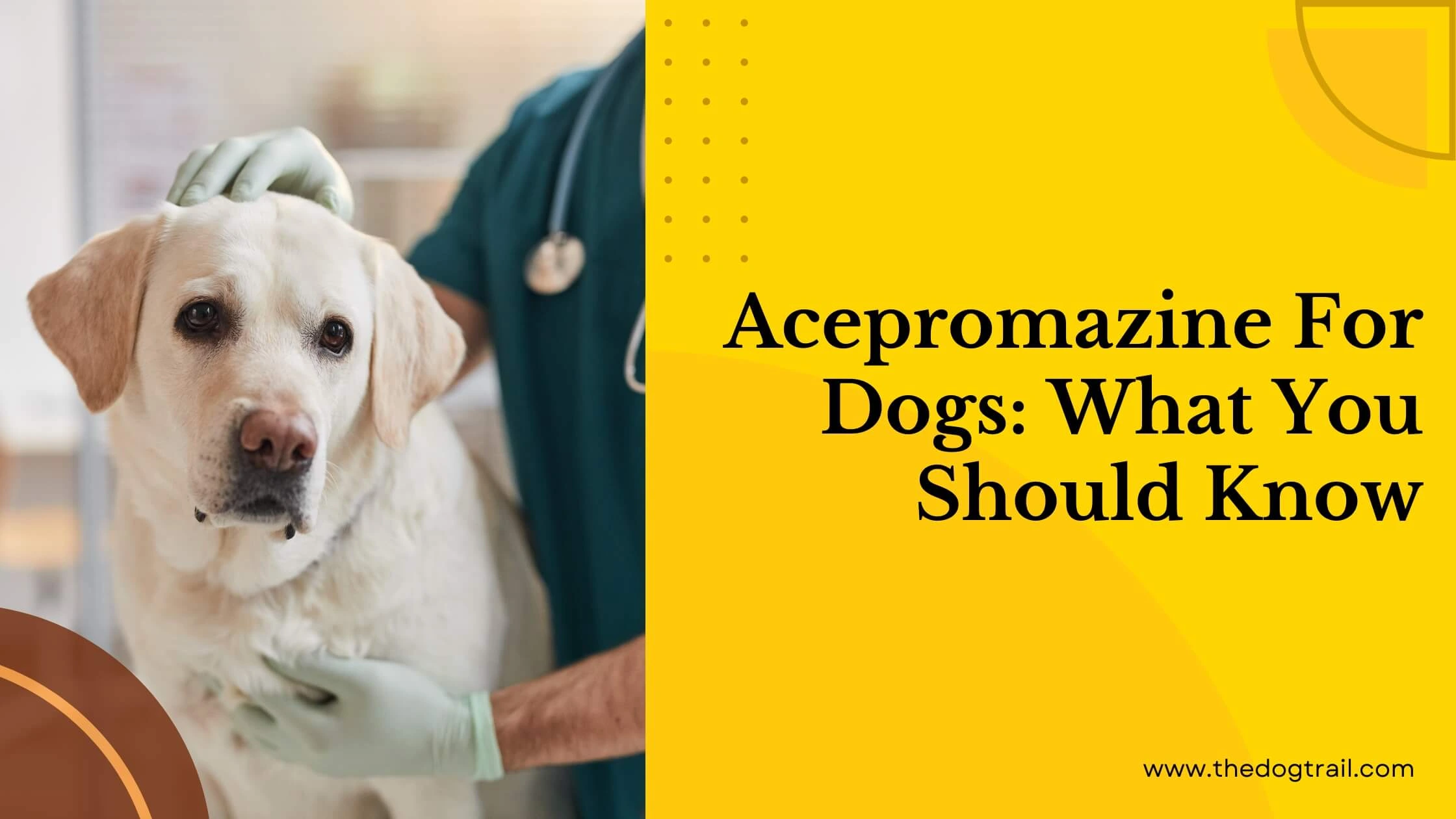 Acepromazine For Dogs