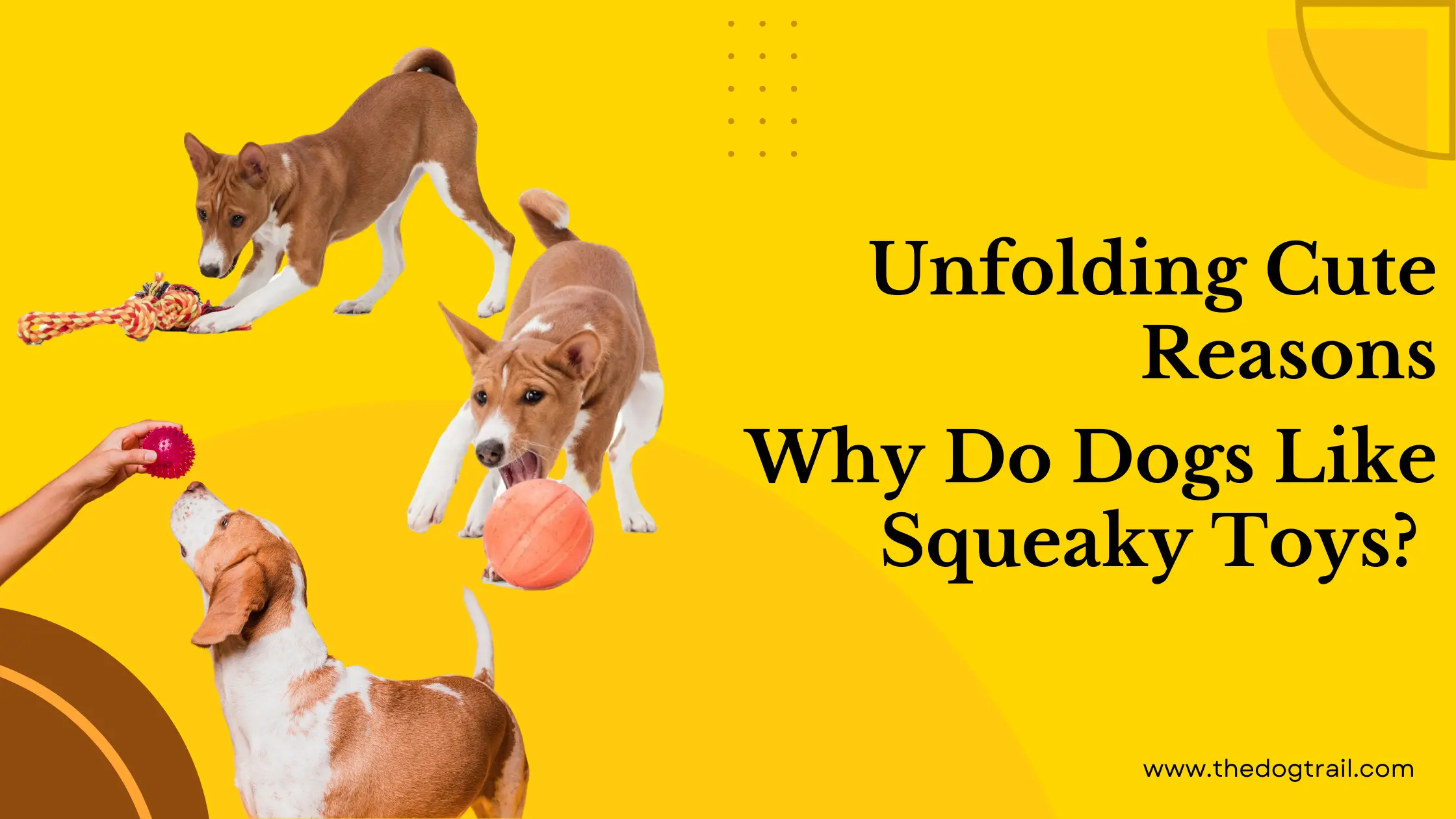 why do dogs like squeaky toys