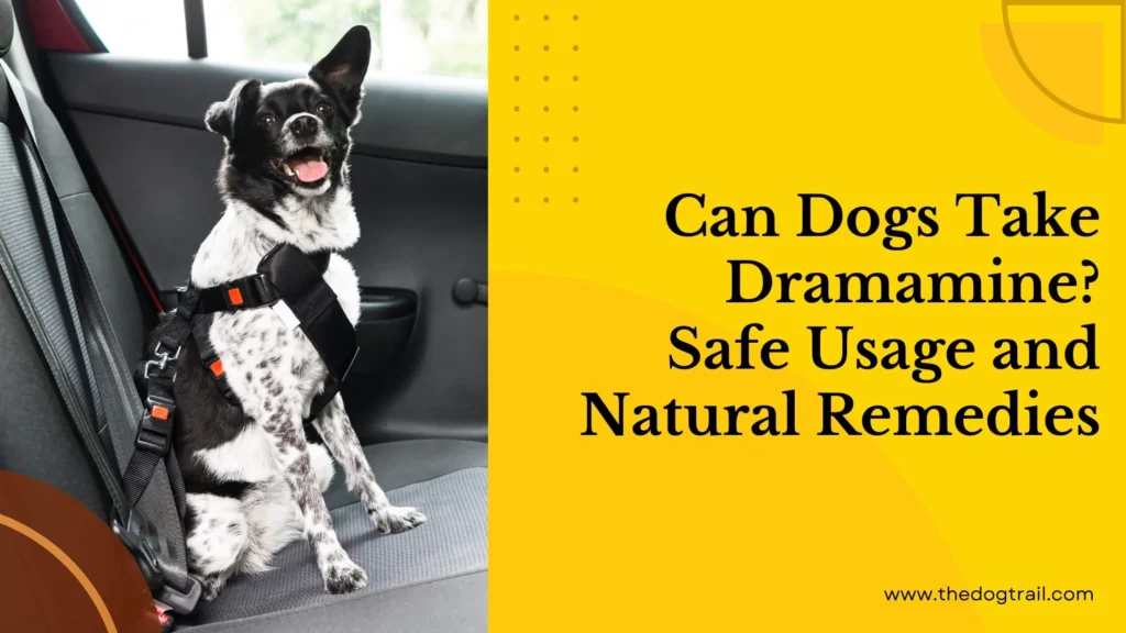 Can Dogs Take Dramamine